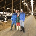 LÜPSJAD SAADETAKSE RIIGIST VÄLJA: Veerand Eesti lehmadest jääb lüpsmata, kui ukrainlased lahkuvad