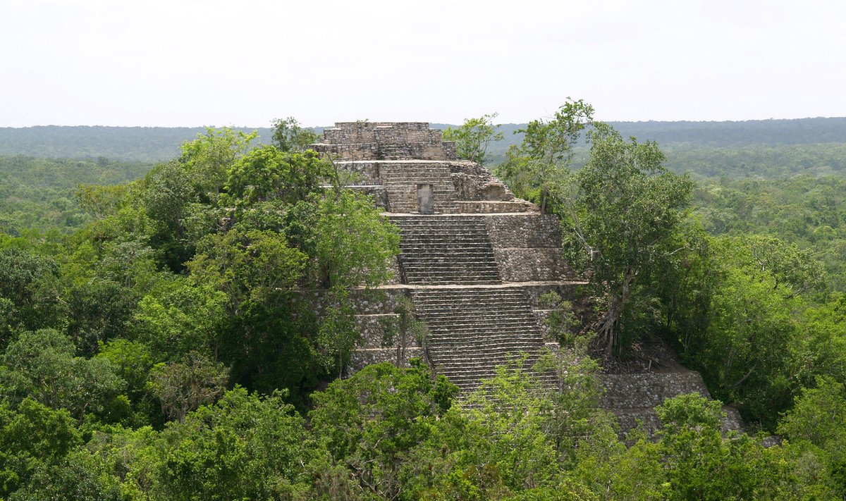 Calakmul on üks tuntumaid maiade linnu.