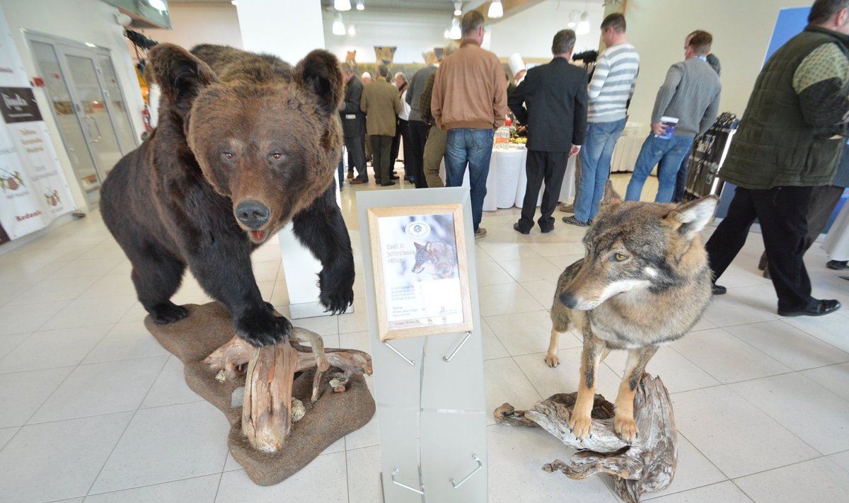 IX jahitrofeede näituse avamine Amservi Järve müügisalongis.