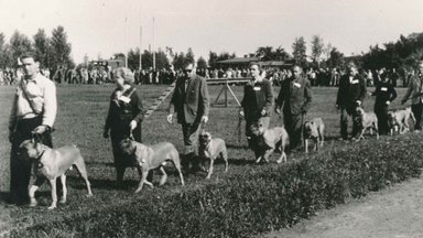 Leidub rahvast, kellel jätkub raha niisuguste moenarruste pääle väljaandmiseks! Sajand tagasi peeti koertenäitusi tõusiklikkuseks 