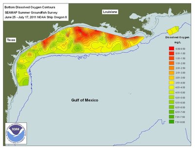 Mehhiko lahe surnud tsoon. NASA / NOAA