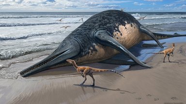Inglismaalt leiti suurima meres elanud dinosauruse luud. Olend oli pikem kui kaks reisibussi