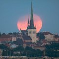 ФОТО: Минувшей ночью на Таллинн пролила свет розовая луна