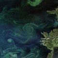 ФОТО NASA: В море за Сааремаа вращается гигантская спираль из сине-зеленых водорослей