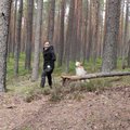 VIDEO | Hüpped üle maha langenud puude: muuda koeraga jalutuskäik huvitavaks