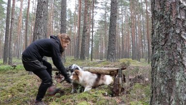 VIDEO | Roomamine: muuda koeraga jalutuskäik huvitavaks