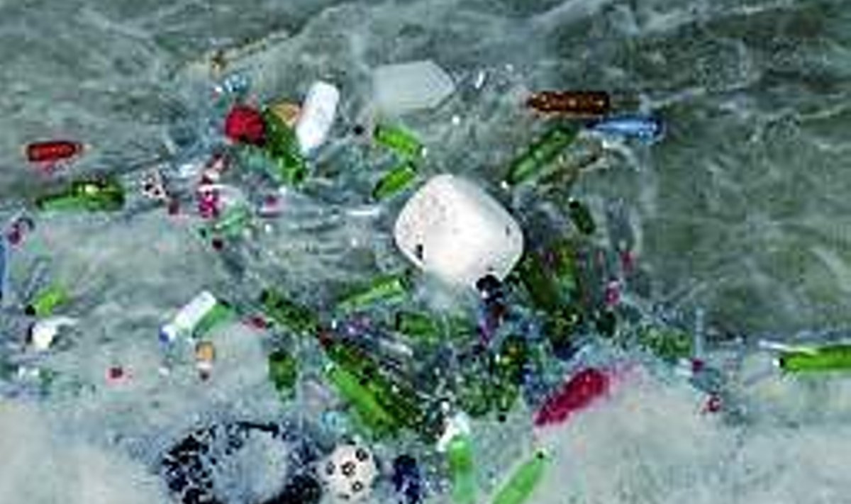 Tappev rämps: ÜRO keskkonnaprogrammi andmetel hukkub igal aastal plastmassijäätmete tõttu rohkem kui miljon merelindu ja üle saja tuhande mereimetaja. Prügi ekslikult toiduks pidanud ja surnud merelindude seedekulglast on leitud süstlaid, tulemasinaid ja hambaharju.