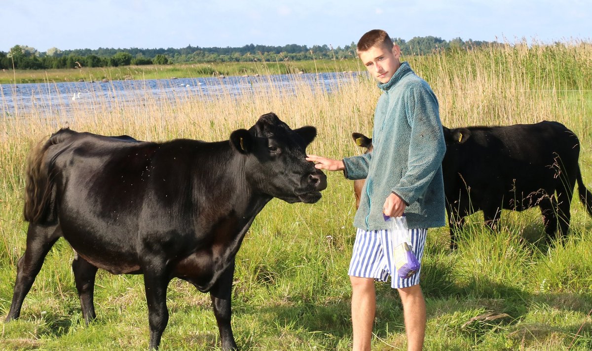 Noor talumees Koppel oma loomadega