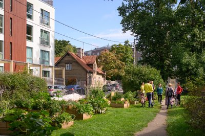 Общинный сад Кадриорга на улице Колласе