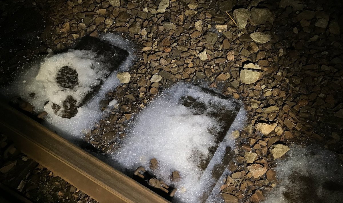 Päästjad katsid süttimisohu vältimiseks raudteele valgunud kemikaali vahuga