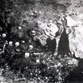 Armeenlaste genotsiid: nõrkenud langesid teepervele