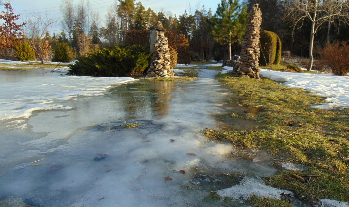 Tänavust talve iseloomustavad liustikud. Tiigist välja pressinud vesi on moodustanud jäävälja.