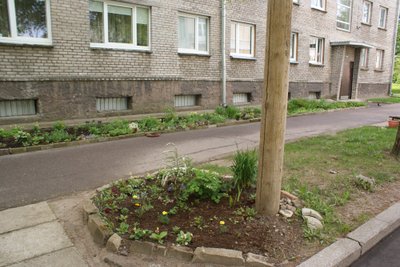 «Территории многоквартирных жилых домов»

3 место – KТ «Суур 19», председатель Айшук Мирзоева