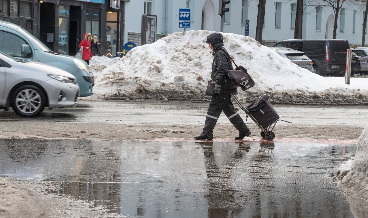 Kas jõulud on valged või on oodata suurt sula?