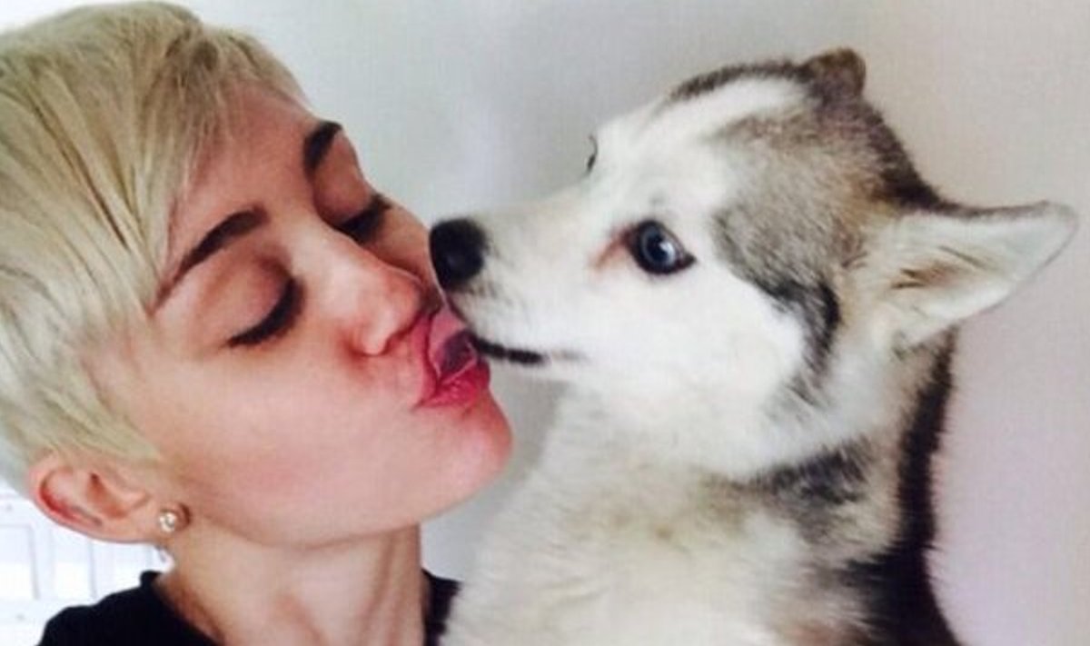 Miley Cyrus'i koer suri teisipäeval