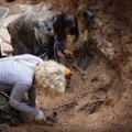 VIDEO ja FOTOD | Kuramaa metsast kaevati välja 66 nõukogude sõduri säilmed