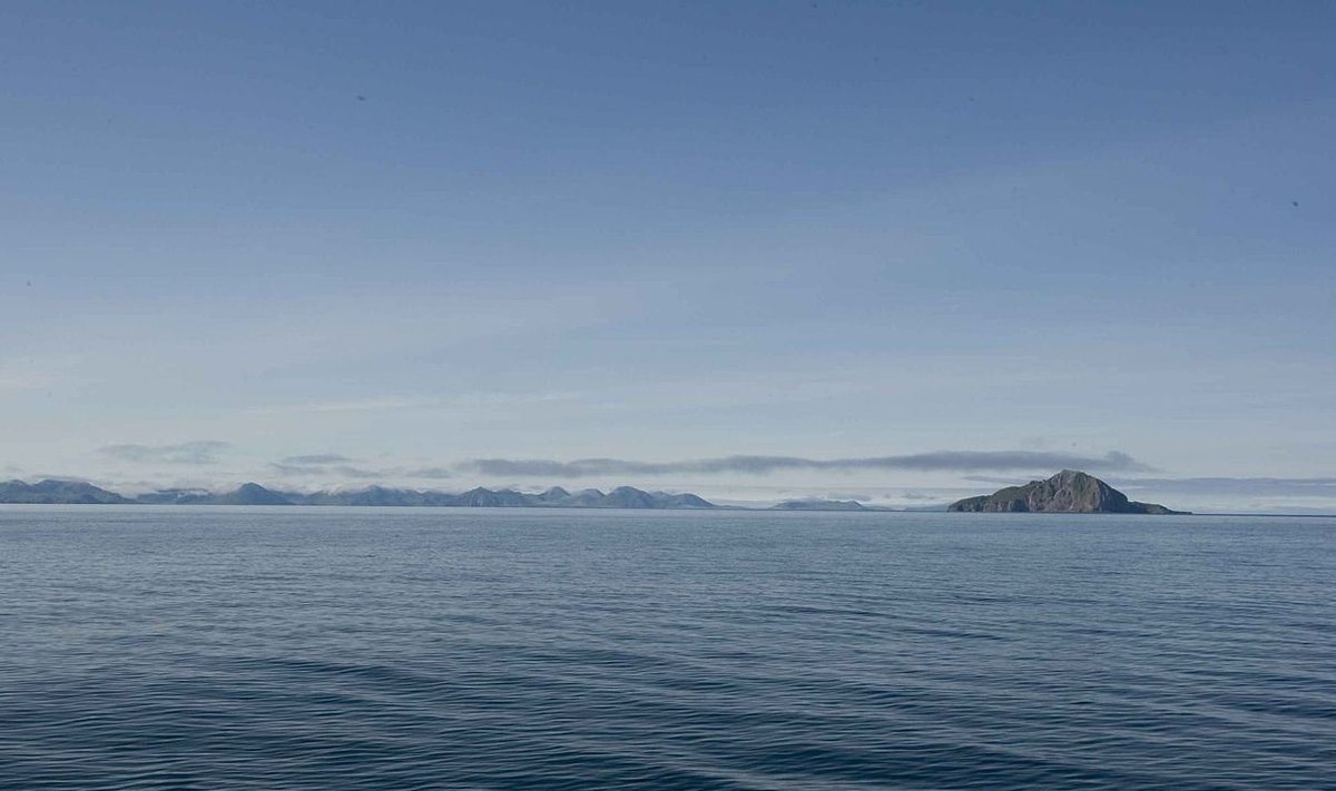 Illustreerival eesmärgil: Ookean Aleuudi saarte lähedal (Foto: Wikimedia Commons / USA kala ja eluslooduse teenistus)