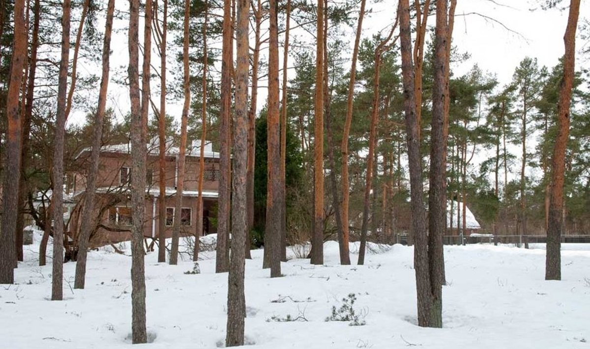 Kaugelt näen kodu kasvamas: Arnold Rüütel ihaldab seda 298 ruutmeetri suurust maja Tallinnas Nõmme mändide all.