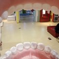 Minu hambalugu: arst ajas patsiendid sassi — puhastuse asemel sain tuimestuse ja plommi