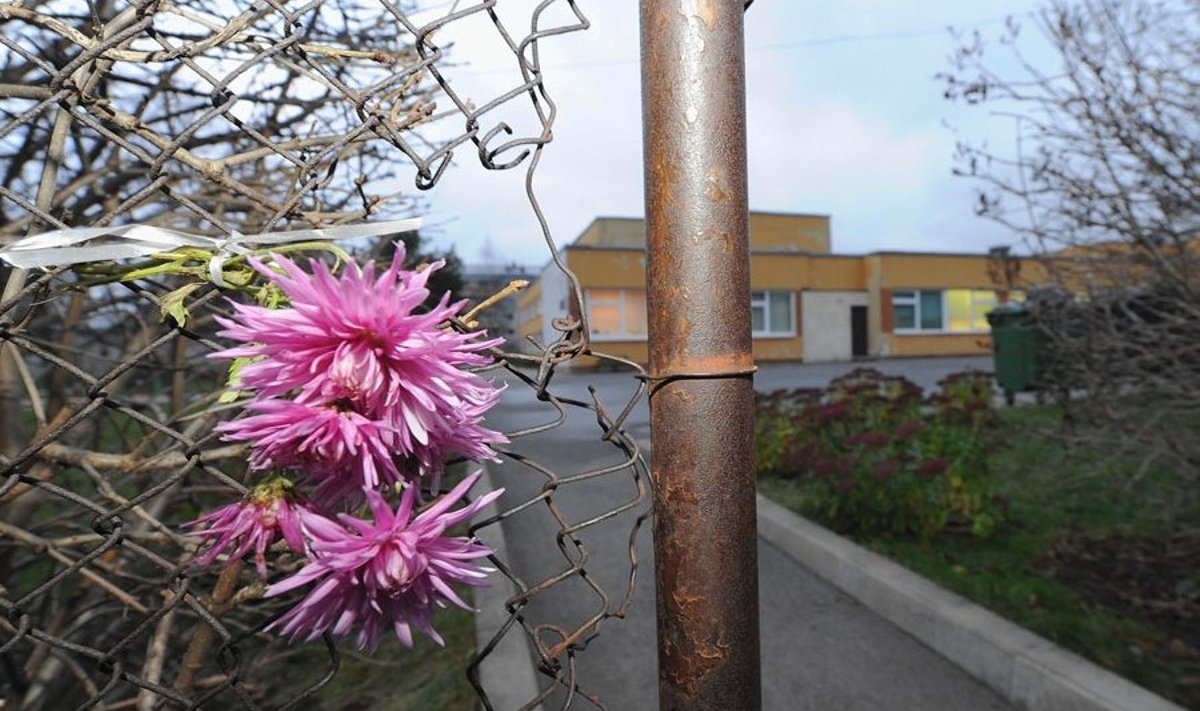 Leina märgiks toodi Laagna Rukkilille lasteaia väravasse lilli.