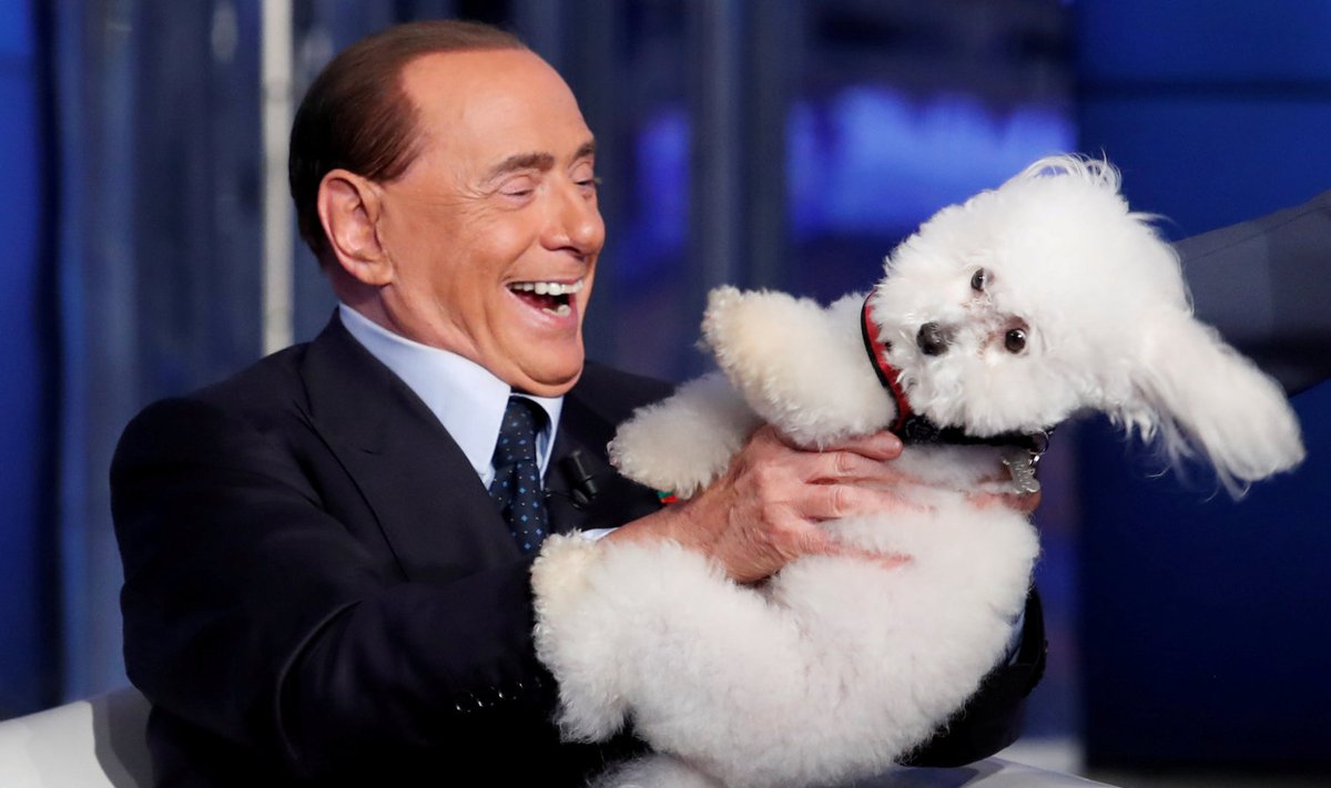 Silvio Berlusconi mängib telesaates koeraga
