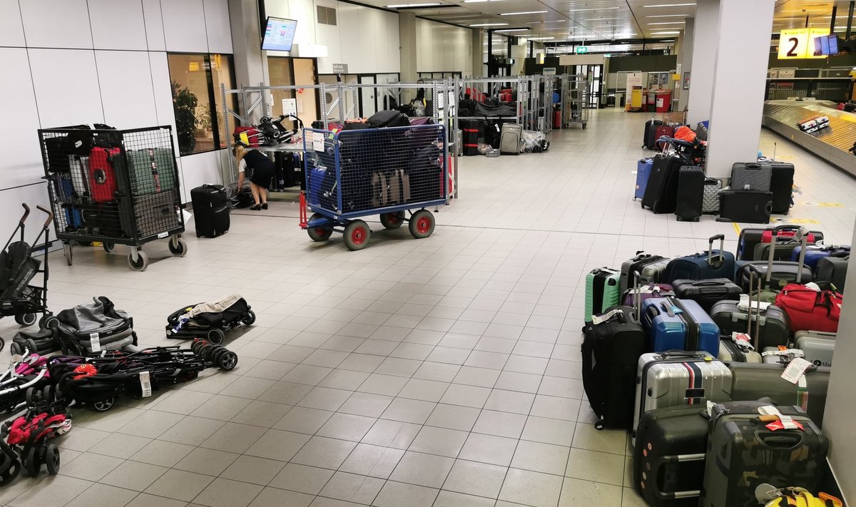 Kaos Schipholi lennujaamas