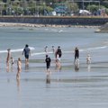 Вода на побережье Балтийского моря из-за тепловой волны прогрелась выше обычной температуры