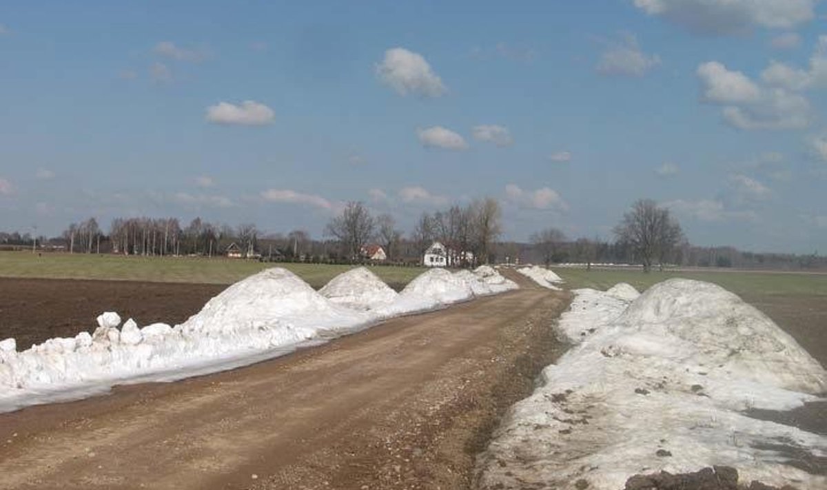 Lisaks kulukale lumetõrjele vajavad hoolt ka lume alt välja sulanud kruusateed. Foto: Luunja Vallavalitsus