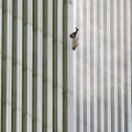 Падающий с небоскреба человек. История одного из самых известных фото теракта 11 сентября