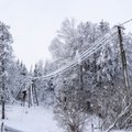 ГРАФИК | Сегодня будет „кусаться“ не только мороз, но и цены на электроэнергию