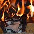 Millist prügi tohib põletada koduses küttekoldes?