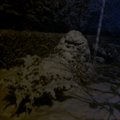 FOTOD: Esimene lumi Viljandimaal