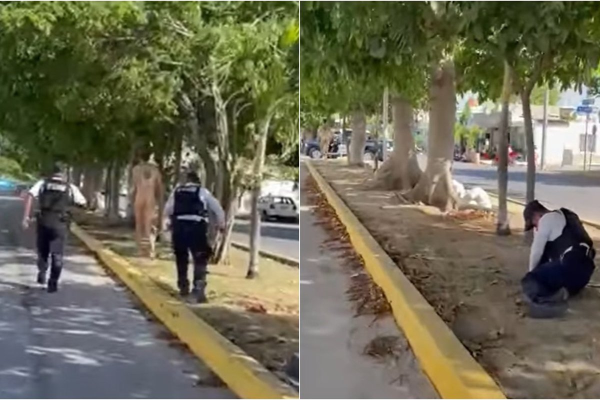 ВИДЕО | На курорте в Мексике голый турист из Эстонии нокаутировал  полицейского - Turist