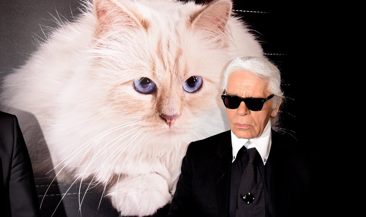 Karl Lagerfeld ja suur foto Choupette'ist