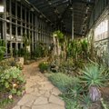 В сентябре оранжереи ботанического сада закроются на плановое обслуживание