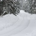 FOTOD | Talve võlumaa! Lumised ja jäised teed on Rootsi ralliks valmis