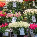 NIPID | Nii püsivad naistepäevaks kingitud lilled vaasis kauem värskena