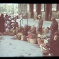 Tule ajalukku! | 1950: Miks küsitakse lillede eest hingehinda?