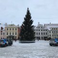 Из-за вандалов рождественская ель на Ратушной площади в Таллинне накренилась