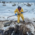 DELFI VIDEO ja FOTOD: Muraste kandis mere ääres laiutavat masuudireostust hakati koristama