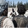 Tagauks Eesti internetis, kust terroristlik ISIS sisse jalutab ja pahandust teeb