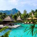 Туристу в Таиланде грозит до двух лет тюрьмы за публикацию негативных отзывов об отеле