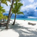 Eksootiline reisisihtkoht | Lopsaka loodusega saarepärl Mauritius on abiellumiseks vale saar