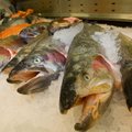 Eesti soovib kalanduses suuremat tähelepanu turuarendusele