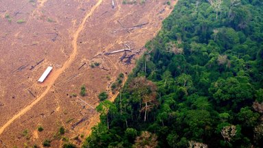 Keskkonnakaitsjad süüdistavad Euroopa pankasid looduse hävitamise rahastamises