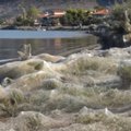 VIDEO | Kreeka linn on kimpus kõikjale tekkivate ämblikuvõrkudega