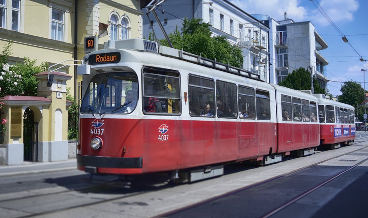 Sama liini tramm varasemal fotol. Foto: Johannes Zinner (Wiener Linien / Zinner))