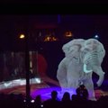 ВИДЕО: В немецком цирке вместо животных выступают голограммы. На арене — слон, лошадь и гигантская рыба