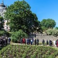 Датский королевский сад роз ждет посетителей