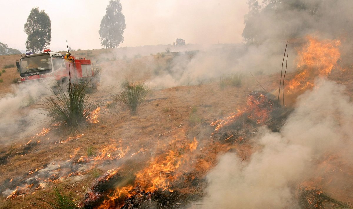 Austraaliat on aja jooksul räsinud mitmed kuumast tekkinud tulekahjud. Tulevik olukorra paranemist ei tõota.